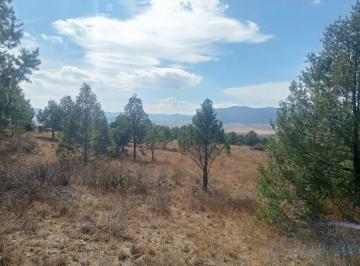 Terreno / Lote , Arteaga · Terreno Campestre en Venta en Ejido San Juanito