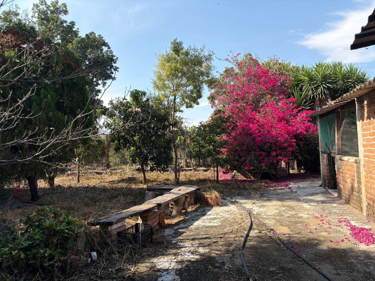 ¡Oportunidad! Terreno en Venta en Cocula