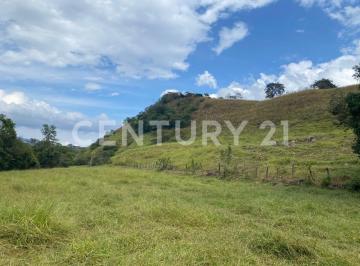 Terreno / Lote · 220000m² · Lote El Arrayan