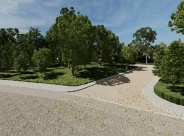 Terreno / Lote en Venta   · Terrenos en Venta en Fracc. Villas Palmira Lado Playa Desarrollo Campestre Lleno de Vegetación en La