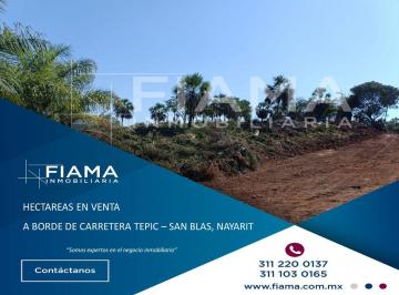 Terreno / Lote , San Blas · Terreno de Gran Extensión en Venta Sobre Carretera Tepic–san Blas.