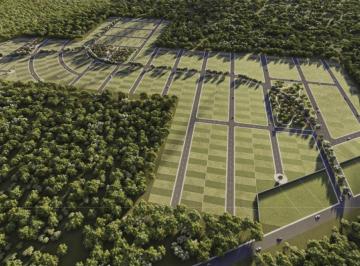 Terreno / Lote · 250m² · Lotes Paseos Kini en Preventa, Ubicados en Carretera Merida - Motul.