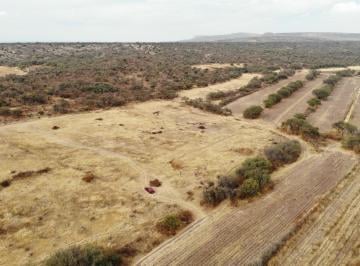 Terreno / Lote · 400m² · Terreno Campestre en Venta, en San Francisco de Los Romo, Aguascalientes