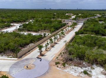 Terreno / Lote · 364m² · Terrenos en Venta en Merida, Lotes Residenciales, Antigua, Julio 2024