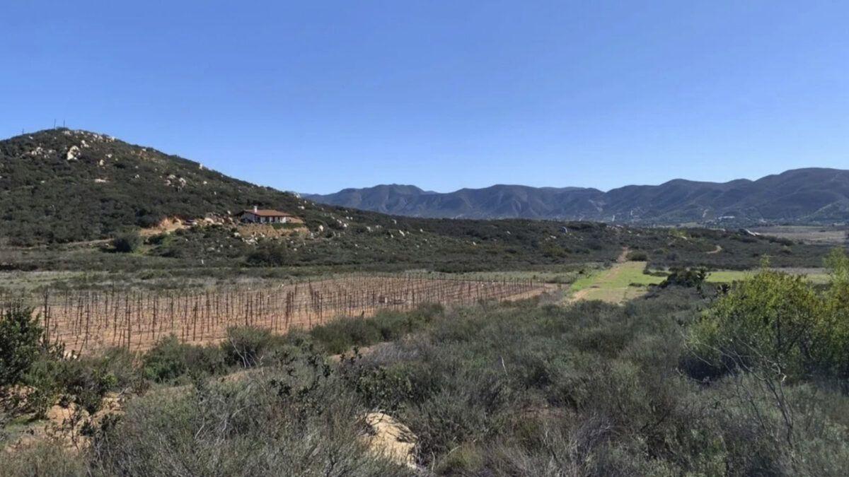 Land for Sale in Valle de Guadalupe