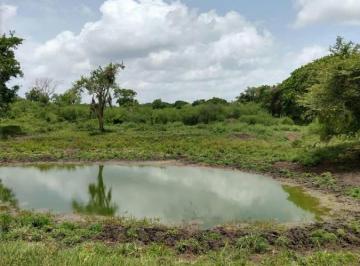 Terreno / Lote · 242m² · 3 Recámaras · Terreno Venta Tamiahua Veracruz