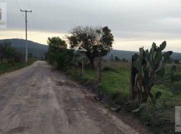 Terreno / Lote · 100000m² · Ha en Venta en El Milagro Huimilpan Queretaro
