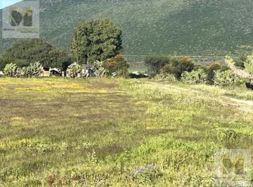 Terreno / Lote · Ha en Venta en El Milagro Huimilpan Queretaro