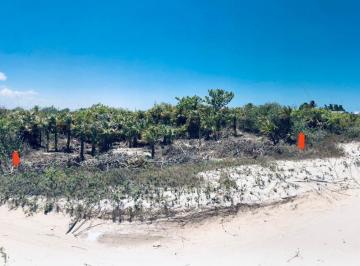 Terreno / Lote · 1000m² · Terreno en Playa San Benito