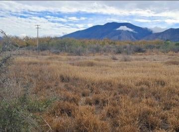Terreno / Lote , Arteaga · Terreno Plano de 6,482 m² Ideal Para Industria Ligera, Guardar Camiones, Caballeriza, Etc.