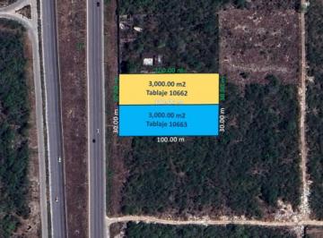 Terreno / Lote · 6000m² · ¡Oportunidad! Terreno Sobre La Carretera Mérida - Progreso de 6,000 m²