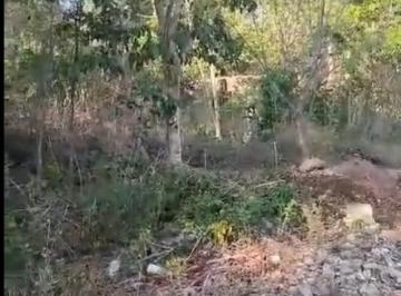 Terreno / Lote de 1 habitación, Puerto Morelos · Terreno en Venta Entre Cancun y Playa del Carmen