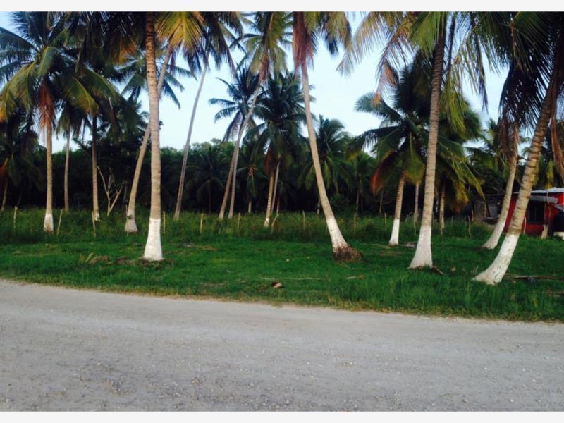 Land for Sale in Carlos Rovirosa 2nd Section, Centla, Tabasco