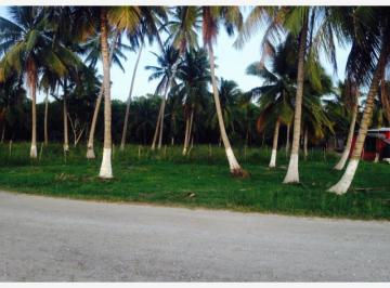 1 · Terreno en Venta en Carlos Rovirosa 2da. Sección, Centla, Tabasco