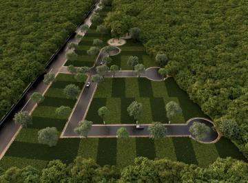 Terreno / Lote · 296m² · Lote Residencial en Carretera Conkal y Chicxulub, Merida.
