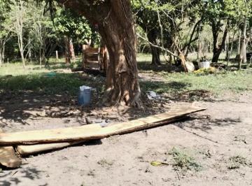 1 · Finca - Rancho en Venta en Joachin, Tierra Blanca, Veracruz de Ignacio de La Llave
