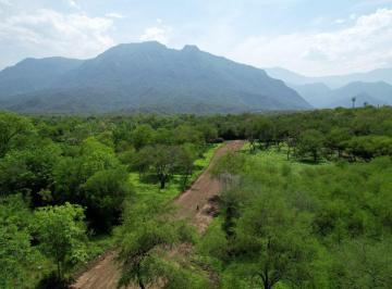 Terreno / Lote , Montemorelos · Lotes Campestres a 4 Min del Rio Ramos