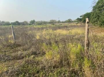 1 · Carretera Federal Pasó del Toro - Terreno en Venta