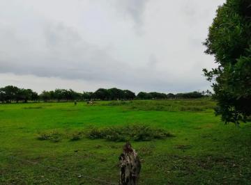 1 · Hectáreas en Venta, Antón Lizardo, Veracruz
