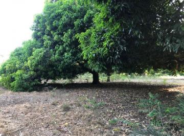 1 · Terreno en Venta en El Copital, Medellín de Bravo, Veracruz de Ignacio de La Llave