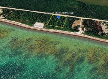 Terreno / Lote · 2232m² · Excelente Terreno Frente Al Mar en Mahahual con 42 m Lineales de Playa