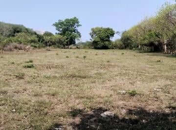 1 · Terreno en Venta en Paso Colorado, Medellín de Bravo, Veracruz de Ignacio de La Llave