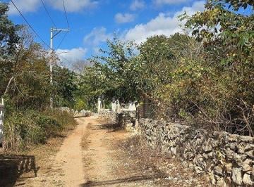 27349085e7bd24030c9f225ad3343b09c695327a3335f0187457976363bd2229 · Venta de Terreno, Xocen, Valladolid, Yucatan