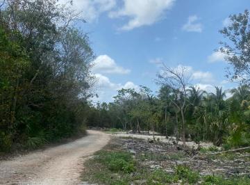 Terreno / Lote · 1971200m² · Venta de Terreno en Cancún, Carretera Mérida Puerto Juárez