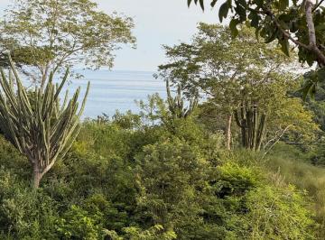 Terreno / Lote , San Pedro Pochutla · Terreno en Venta con Vistas Al Mar en La Mina