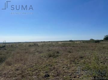 Rancho · 1000000m² · 1 Recámara · Rancho El Carmen en Venta, Aldama Tamaulipas.