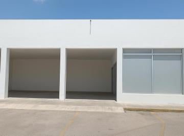 Local comercial , Mérida · Local Comercial Sobre Av