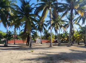 Terreno / Lote , Telchac Puerto · Terreno de 2,557 m², a Pie de Carretera, Ubicado Entre Telchac Puerto