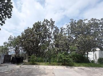 Terreno / Lote , Zapopan · Terreo en Bugambilias, Coto Las Ardillas (Precio a Negociar)