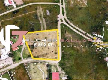 Terreno / Lote · Terreno - Fraccionamiento Campestre San Carlos