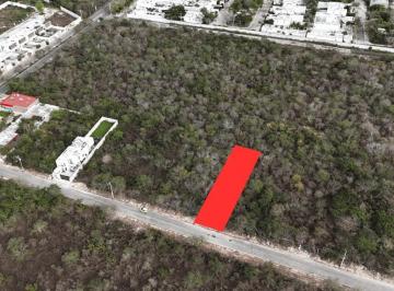 Terreno / Lote · Terreno en Venta en Cholul Mérida, 700 m², 14x50, Listo Para Escriturar