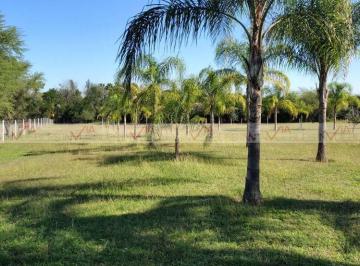 Terreno / Lote · 3249m² · Terreno / Lote en Venta en Allende