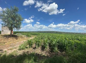 Terreno / Lote , León · Terreno en Venta de 4.5 Ha en Santa Ana del Conde.