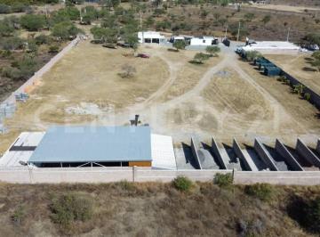 Local comercial · 300m² · 2 Recámaras · 20 Estacionamientos · En Venta Terreno con Negocio de Ferreteria y Mas