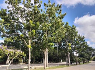 44b66b61940bcf100cfafbcb0821ce089bc144c064ce59caf0a0d22997431170 · Lote Residencial en Venta en La Rejoyada - Hi
