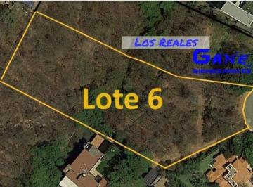 Terreno / Lote · 6772m² · Venta Terreno en Los Reales Dentro Hacienda de Valle Escondido Atizapán Edo Mex