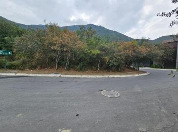 Terreno / Lote en Venta  Renacimiento · Terreno en Venta Renacimiento Monterrey N. L