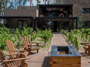 Terreno / Lote de 4 habitaciones, San Miguel de Allende · Lote con Viñedos en San Francisco San Miguel de Allende