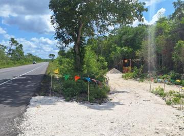 Terreno / Lote · 600m² · Lotes Santuario Nai Luum | Maya Kaan, Quintana Roo
