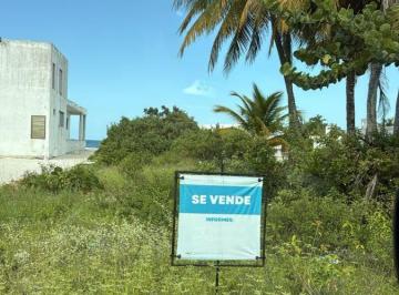 Terreno / Lote , Sinanché · Excelente Terreno Frente Al Mar, San Crisanto