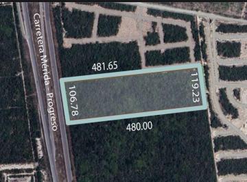 Terreno / Lote , Mérida · Lote Carretera Mérida - Progreso Lado Oriente Km 20