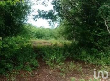 Terreno / Lote · 1m² · Venta de Terreno Antigua Hacienda El Potrero Municipio Coahuayutla, Guerrero