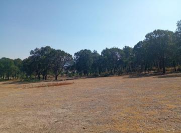 30ad8b71cc1436728136d57f042297dc82ba7684752fbe7e53e9b8edbfc71bd4 · Terreno en Venta en El Cedrito Arteaga