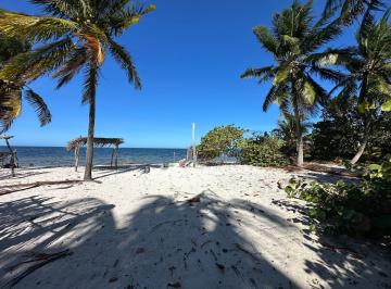 Terreno / Lote · 930m² · Terreno Frente Al Mar Desde 10 Ml Hasta 30 Ml en San Crisanto Yucatán - (4)