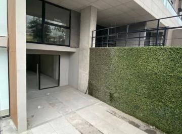 Oficina , Santa Catarina · Oficina/departamento Cordillera