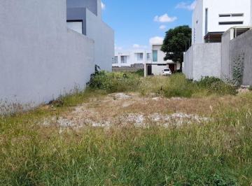 Terreno / Lote · 193m² · Terreno en Venta en La Cima Fray Junipero Serra